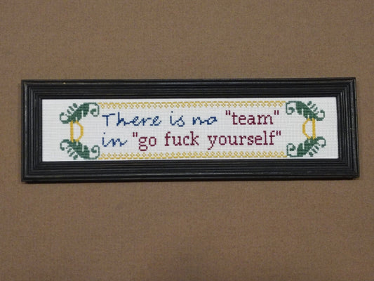 There is No Team in Go Fuck Yourself Cross stitch pattern - instant PDF Download