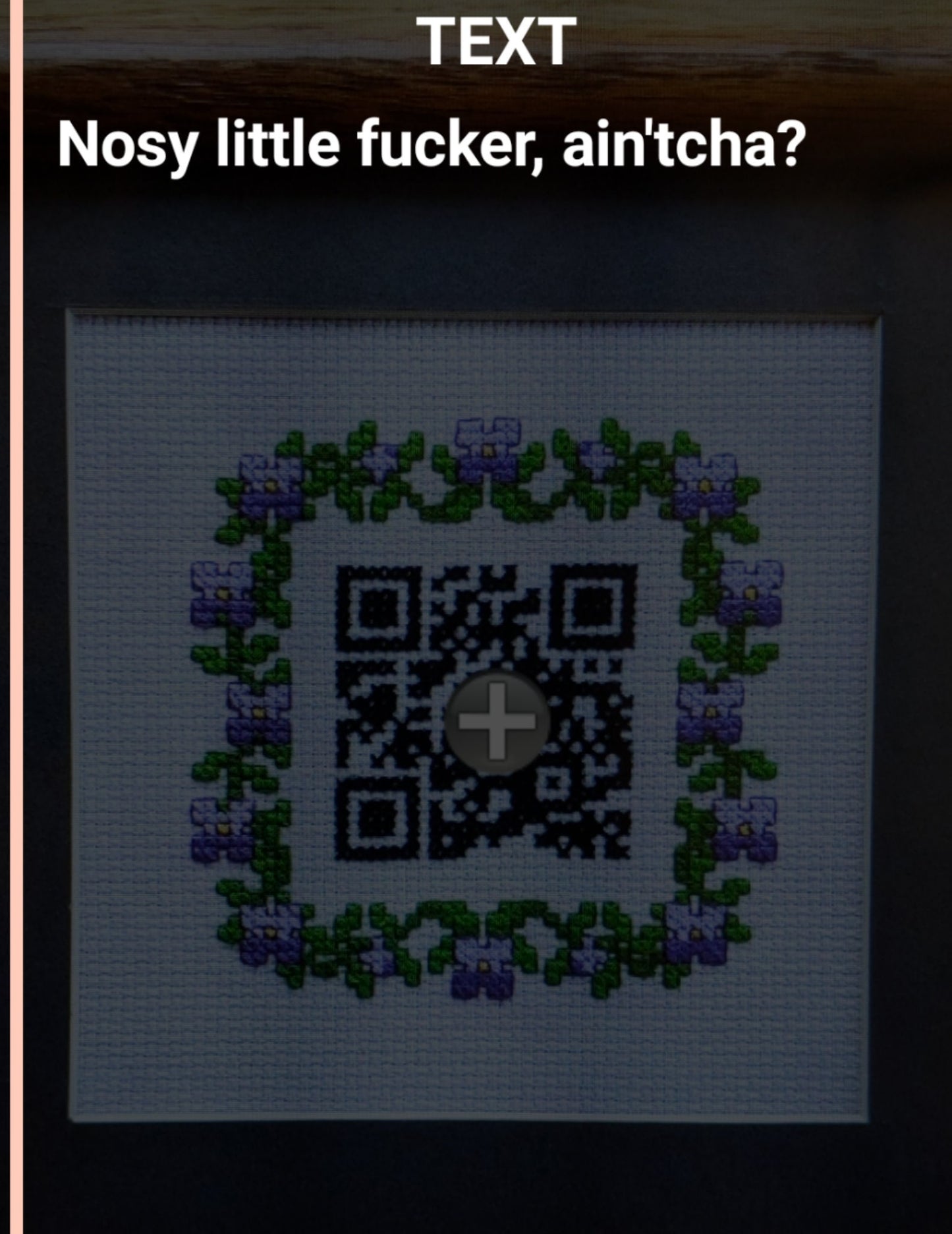 PDF Pattern: Subversive Cross Stitched QR Code for Busybodies - "Nosy little f*cker, ain'tcha?" Instant Download (Mature)