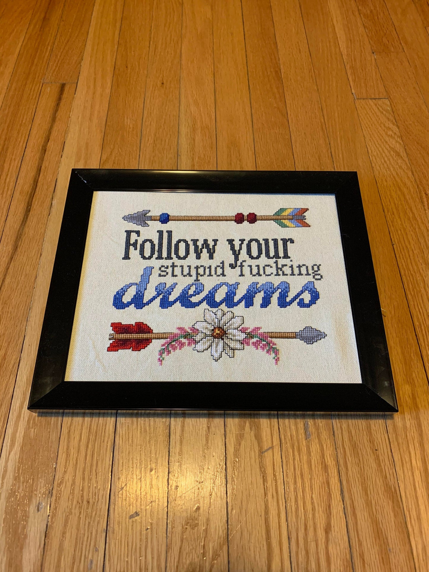 Subversive/inspirational cross stitch pattern - follow your stupid fucking dreams - PDF instant download